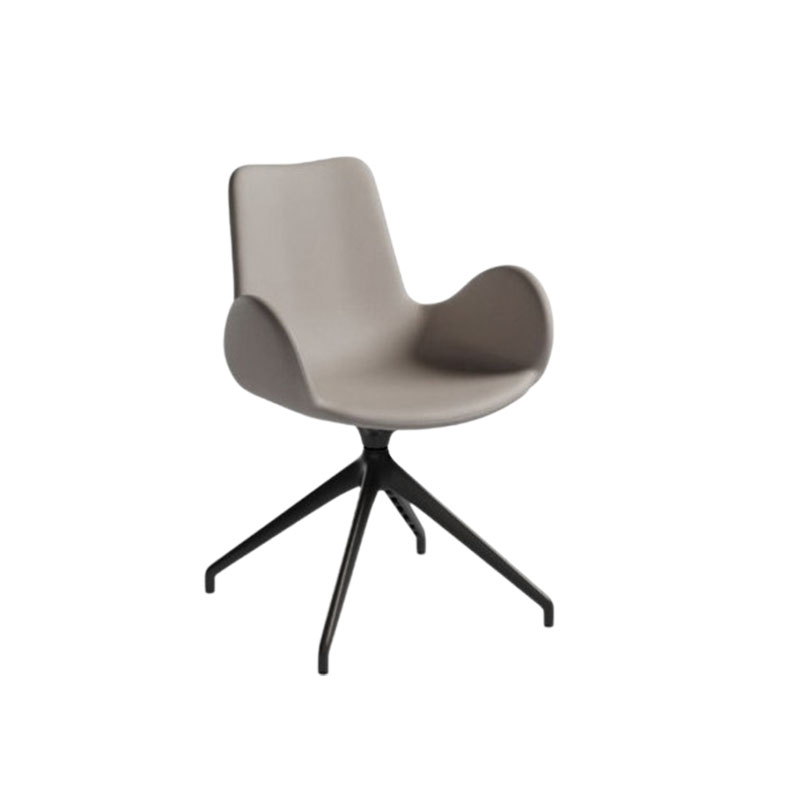 Dalia PB X47 TS Armchair 旋轉扶手椅